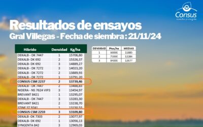 ENSAYOS GRAL VILLEGAS – FECHA DE SIEMBRA 21/11/24