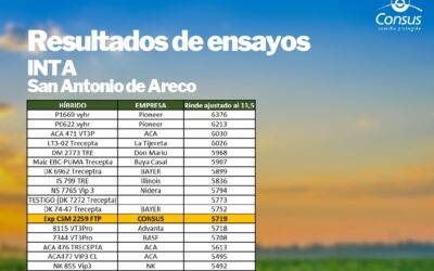ENSAYO SAN ANTONIO DE ARECO – INTA 2024-2025